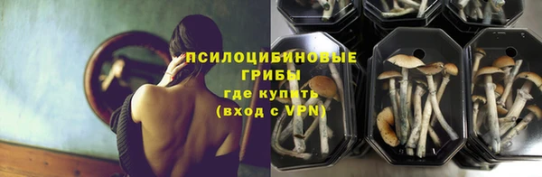 apvp Баксан