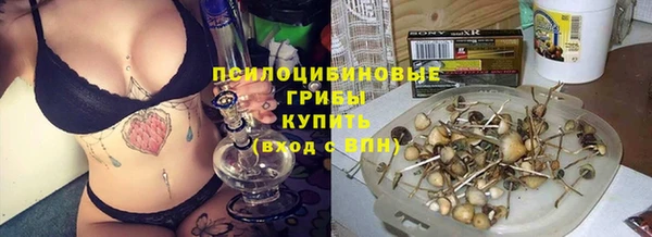 шишки Ростов
