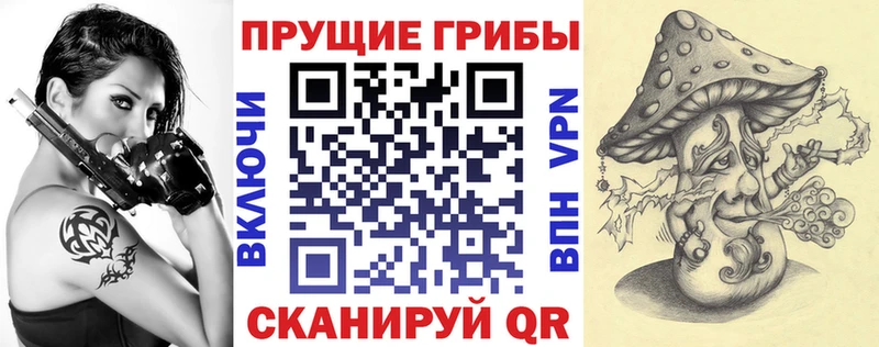Псилоцибиновые грибы мицелий купить наркотики сайты Томилино