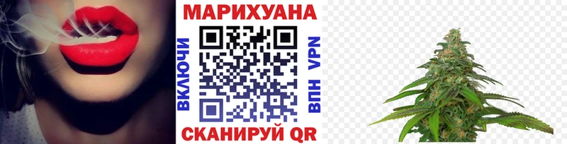 МЕГА как войти  Томилино  Марихуана сатива 